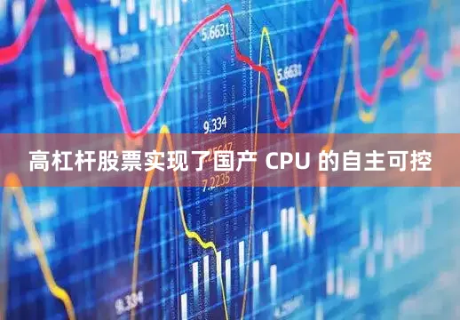 高杠杆股票实现了国产 CPU 的自主可控