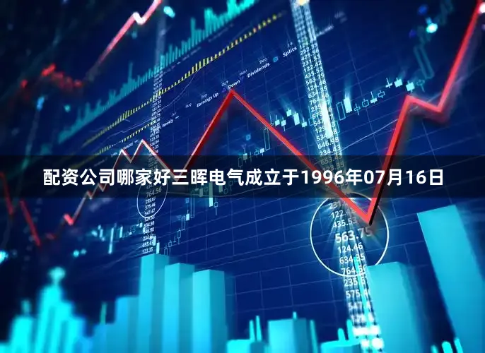 配资公司哪家好三晖电气成立于1996年07月16日