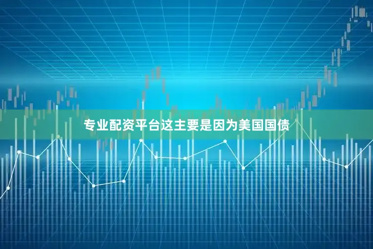 专业配资平台这主要是因为美国国债